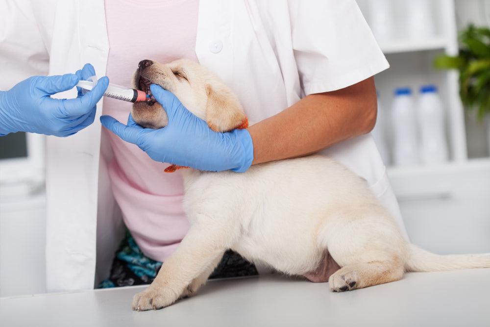 Deworming