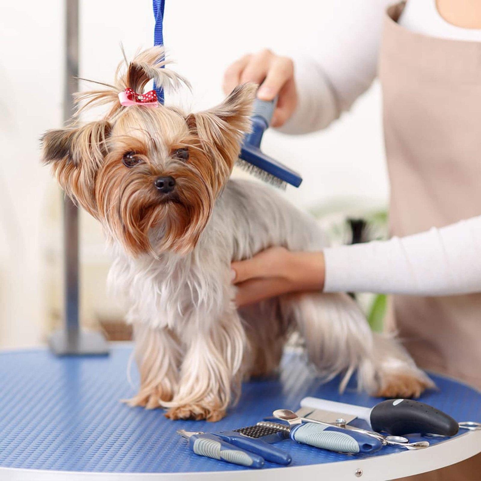 Grooming