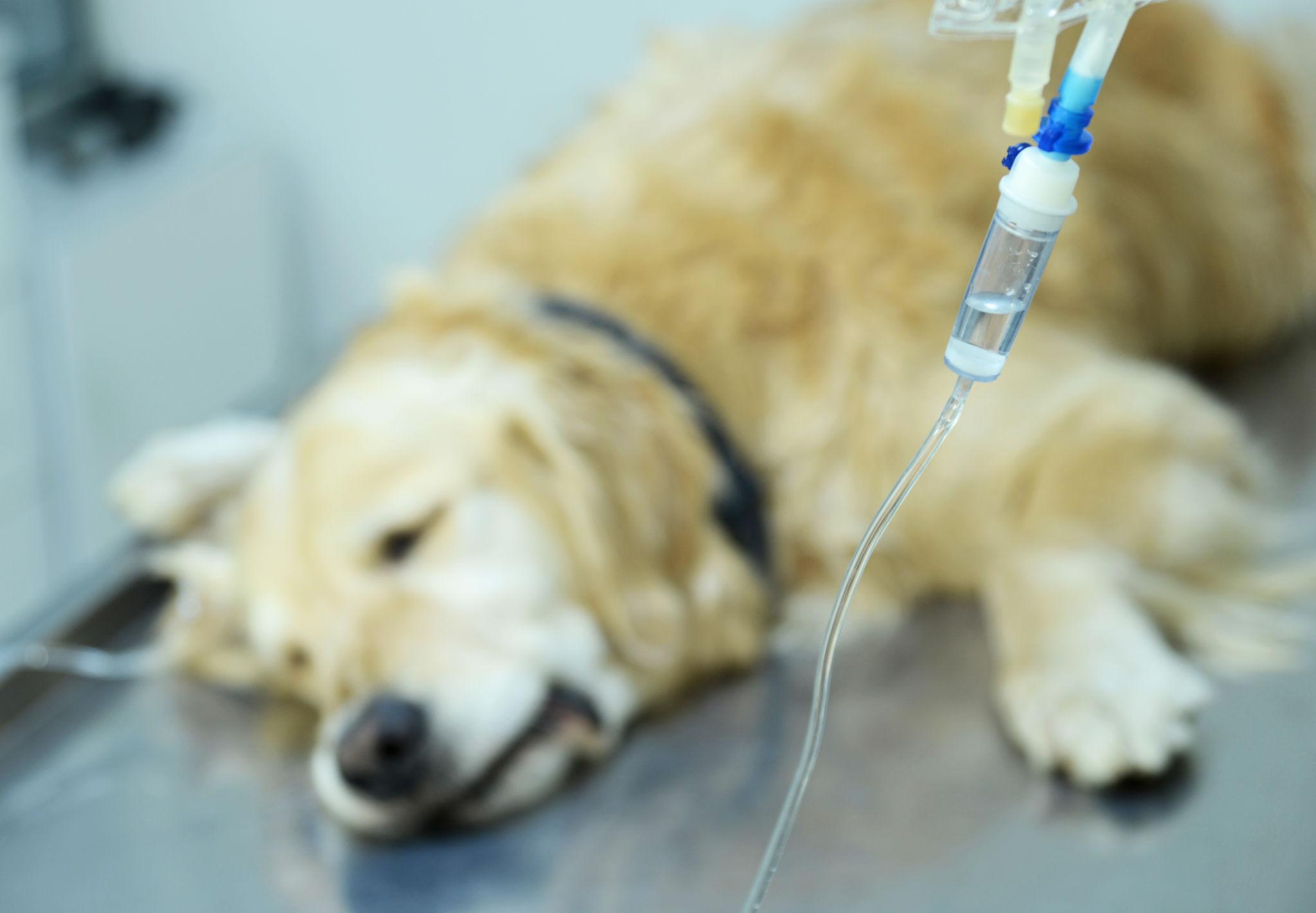 Hospitalization
